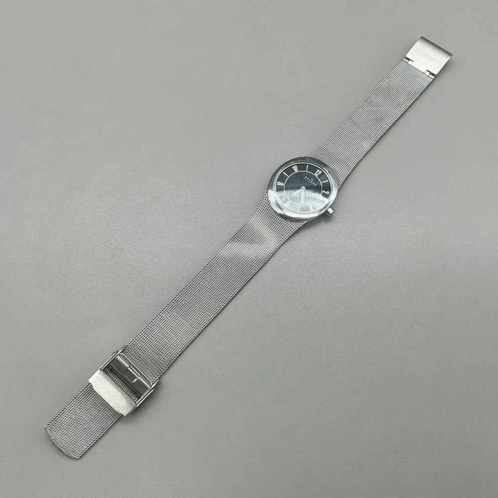 Skagen Watch Women's 0564XSSB Silver Mesh Black Dial 34mm Quartz NEW BATTERY